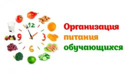 Организация питания обучающихся